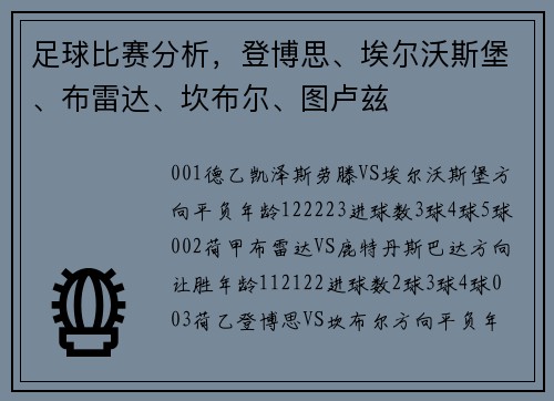 足球比赛分析，登博思、埃尔沃斯堡、布雷达、坎布尔、图卢兹